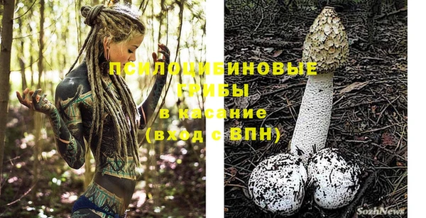 спайс Карпинск