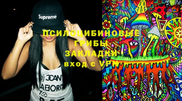 спайс Карпинск